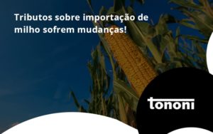 Tributos Sobre Importação De Milho Sofrem Mudanças! Tononi - Tononi Contabilidade | Contabilidade no Espírito Santo